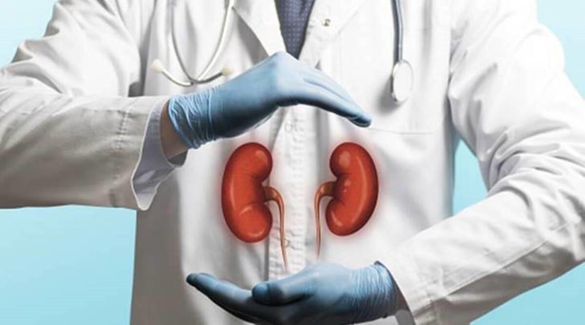 https://api.mediniom.com/api/v2/image/blog-image/transplantation-of -pig-kidney-to-human-1644911360073.jpg
