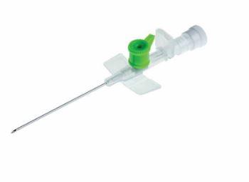 آنژیوکت سبز هندی