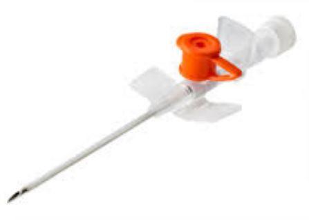 آنژیوکت نارنجی هندی