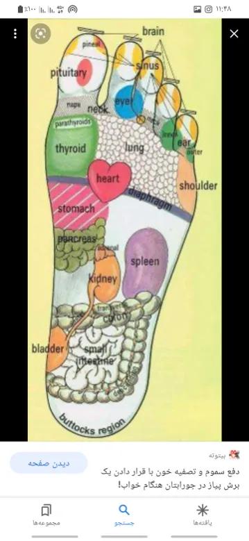 دساه پاکسازی سموم بدن به همراه فیزیوتراپینو/مدینیوم