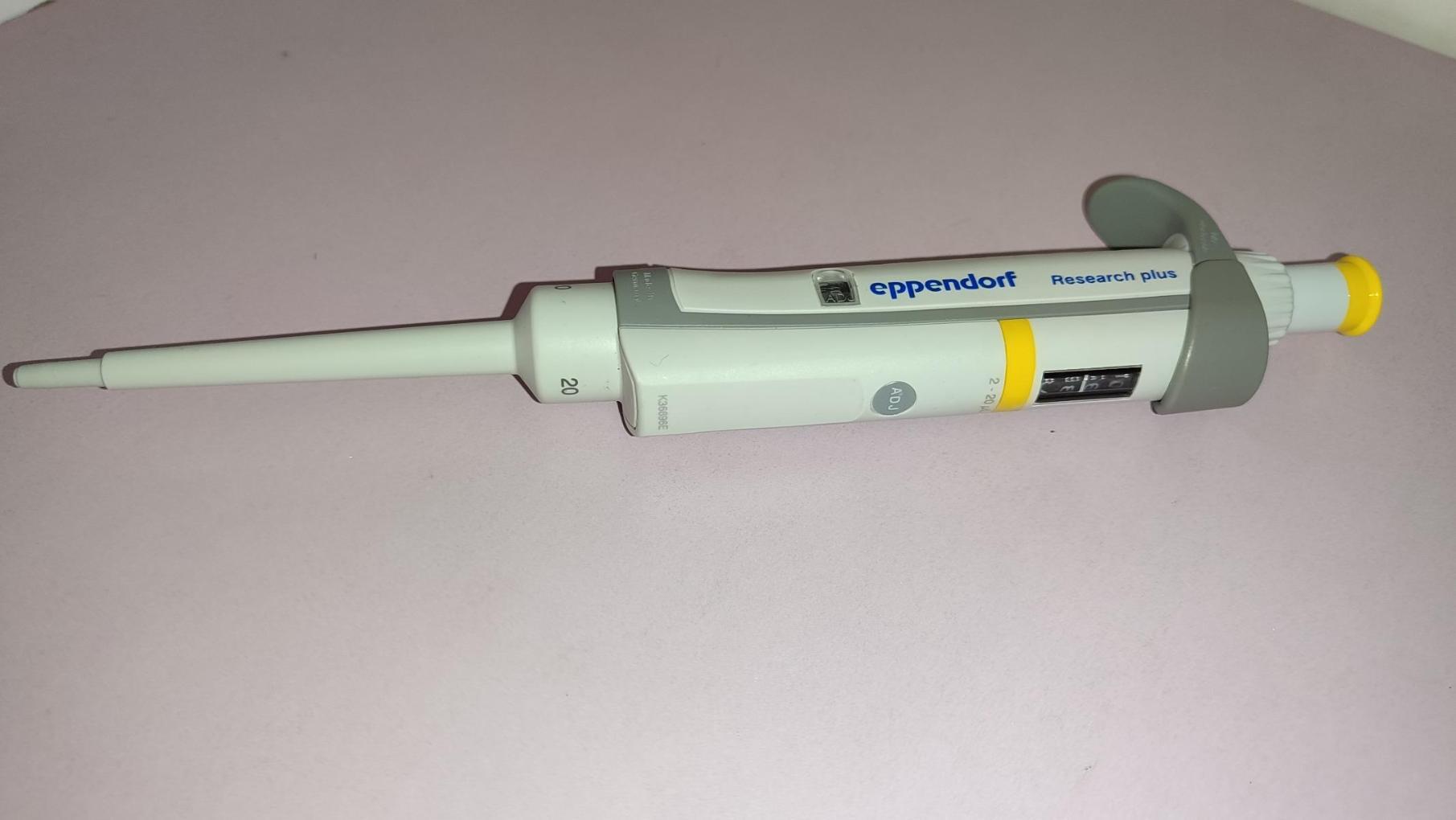 سمپلر اپندورفدست دو/مدینیوم