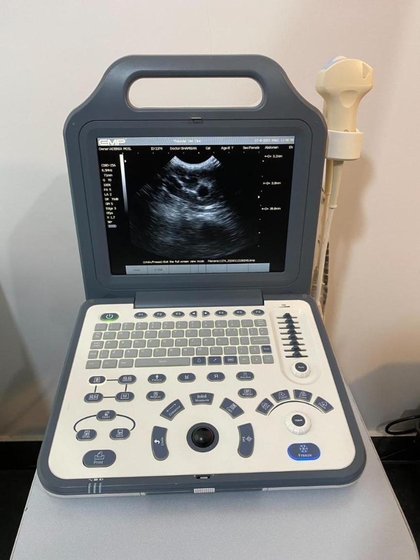 سونوگرافی پرتابل دامپزشکیدست دو/مدینیوم