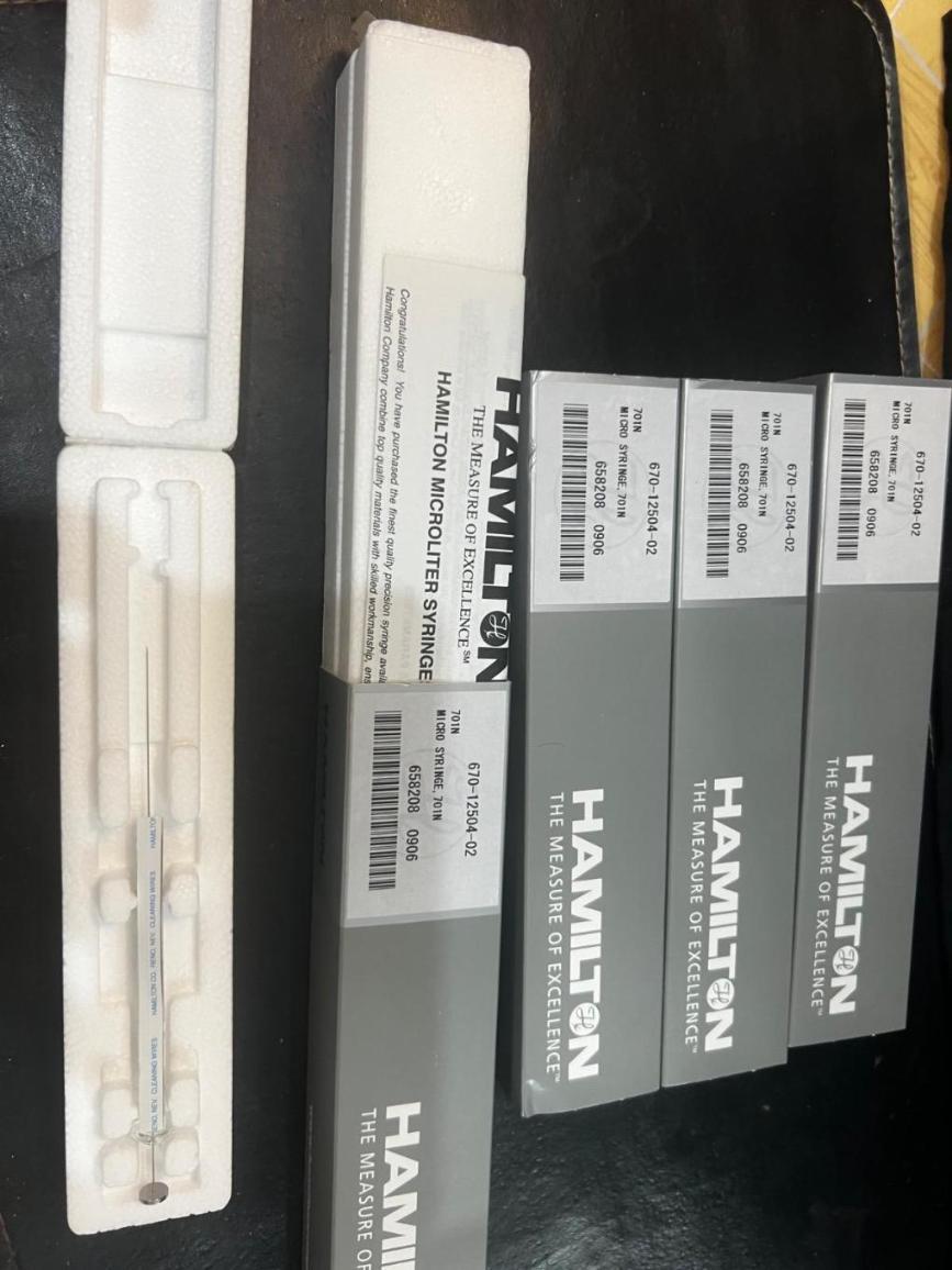 سرنگ همیلتون و اجیلنتنو/مدینیوم