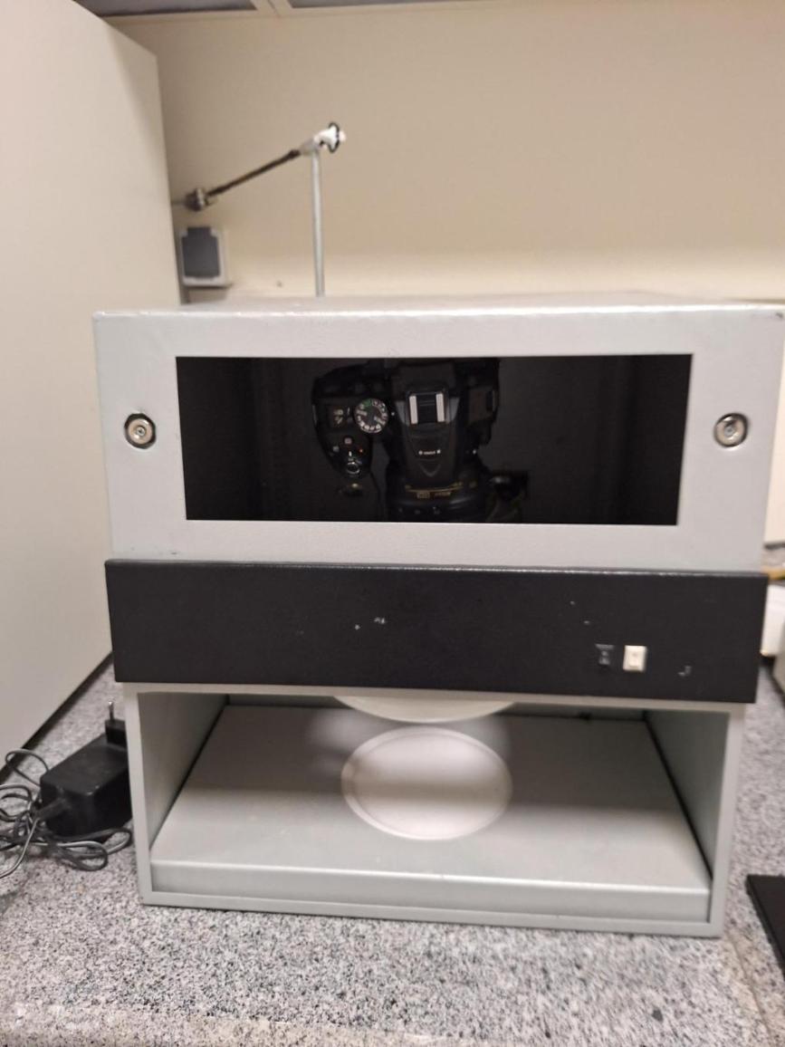 کلنی کانترنو/مدینیوم