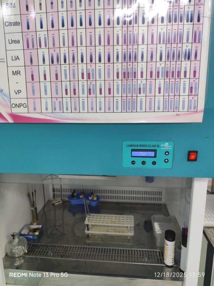 هود لامینار کلاس دو دست دو/مدینیوم