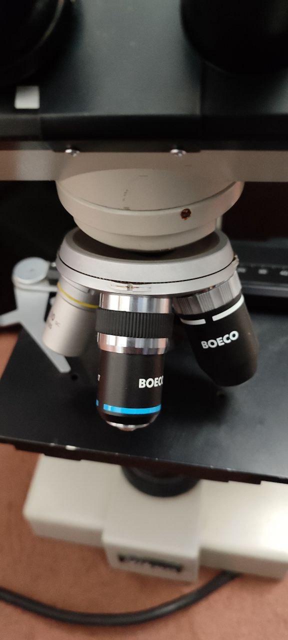 میکروسکوپ نیکوندست دو/مدینیوم