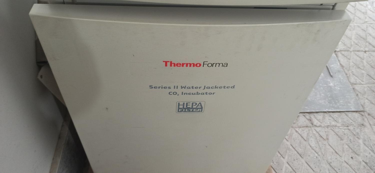 انکوباتور CO2دار THERMO کاملا سالمدست دو/مدینیوم